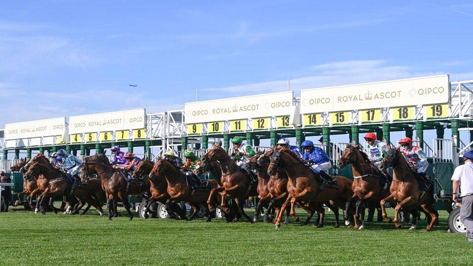 Horse racing at Royal Ascot
